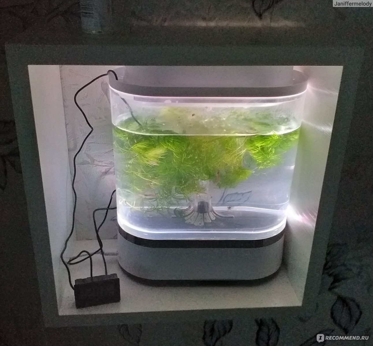 Аквариум xiaomi geometry mini lazy fish tank usb hf jhyg005 обзор