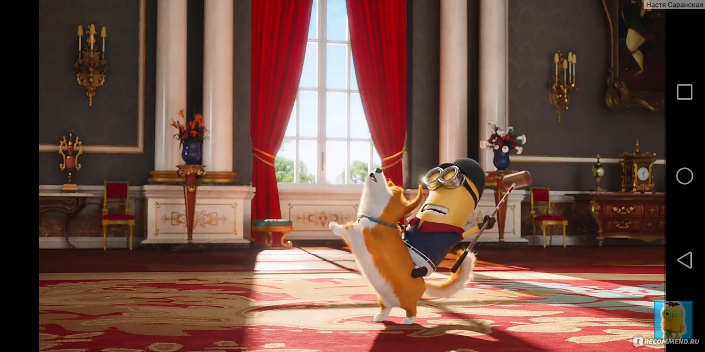 Миньоны / The Minions - «Корги из миньонов. И как Кевин играл в поло верхом  на Корги. Прикольный мультик. Боб - мой любимец. Или стоит ли смотреть?  (ЕСТЬ ПЛЮСЫ И МИНУСЫ К