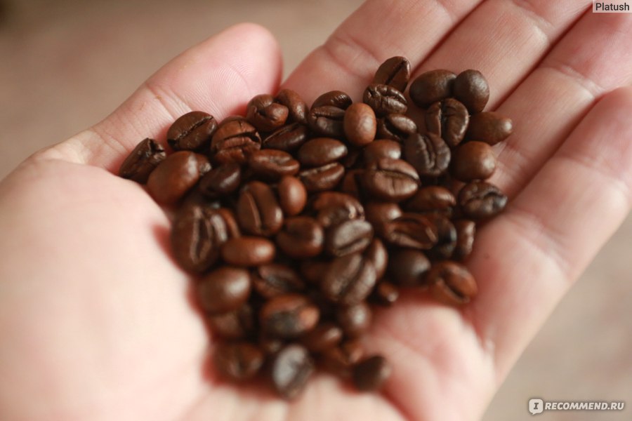 Кофе в зёрнах Орими Piazza Del Caffe Espresso Forte - «Хороший ...