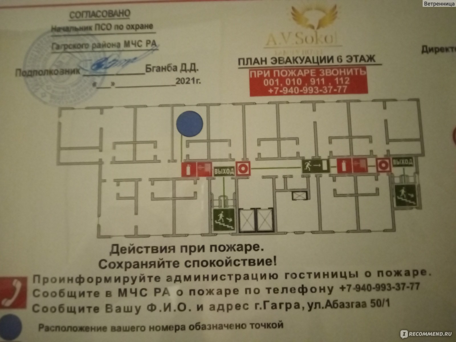 A.V.Sokol family hotel 4*, Абхазия, Гагры - «Горит нездешними огнями очень  модный отель!» | отзывы