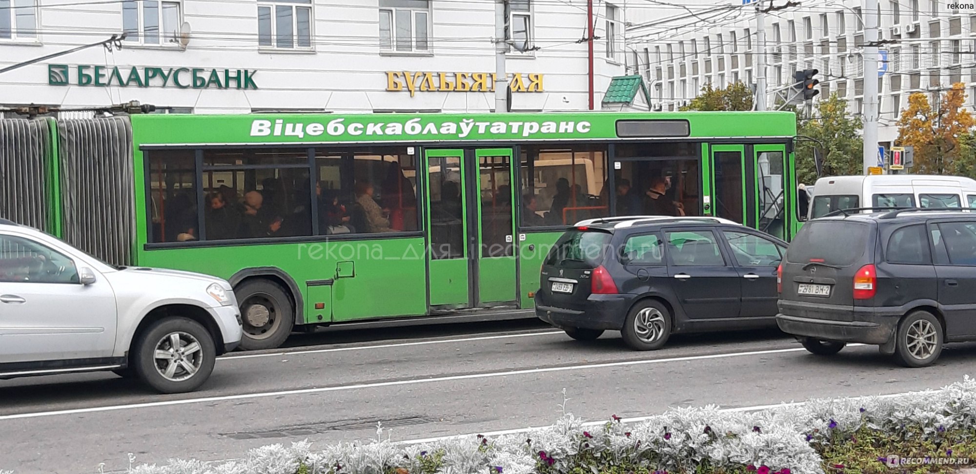 Автобус Витебск 203