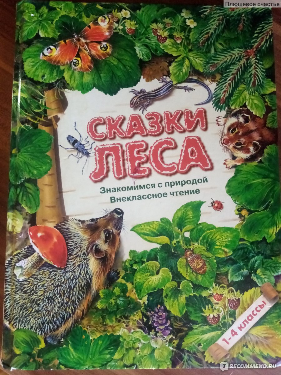 Книга лес. Сказки леса книга. Детская книга сказки леса. Сказка про лес обложка книги.