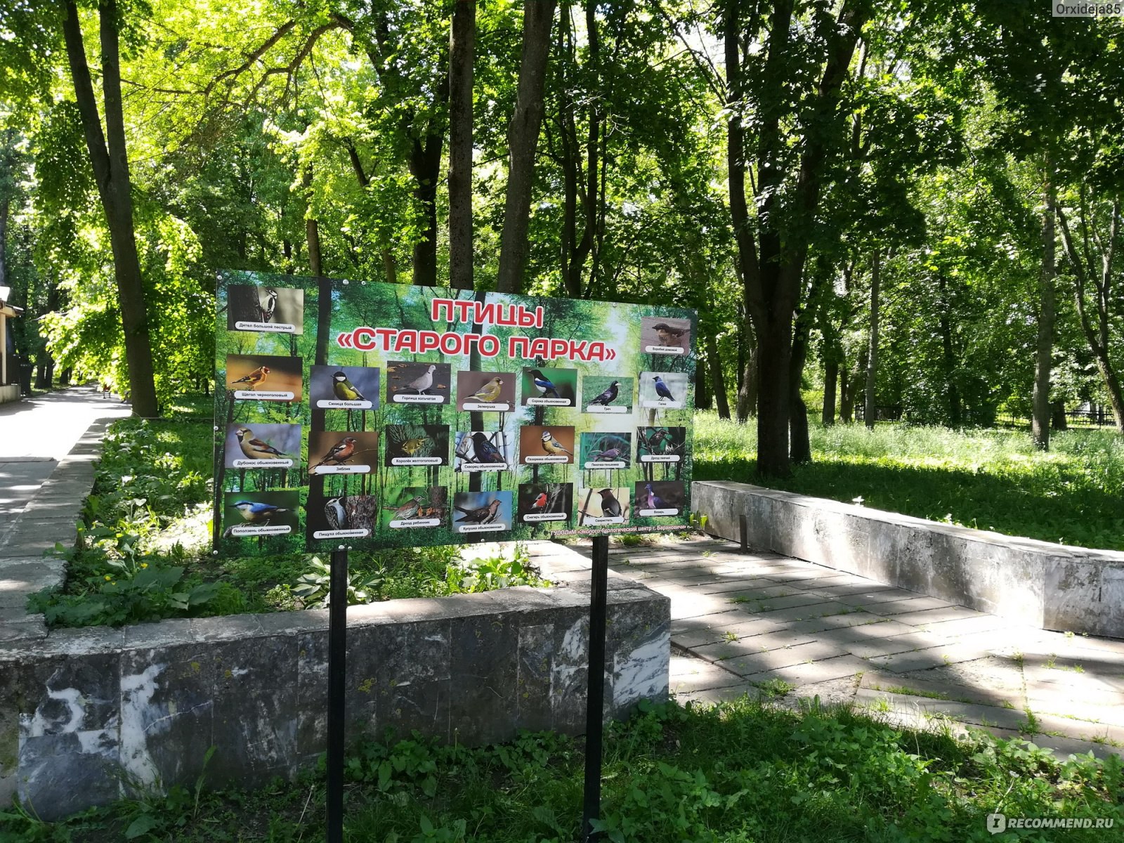 Старый парк, Барановичи - «Руины детского замка, воспоминания о самолёте и  Крокус. С чем ещё ассоциируется Старый парк?» | отзывы