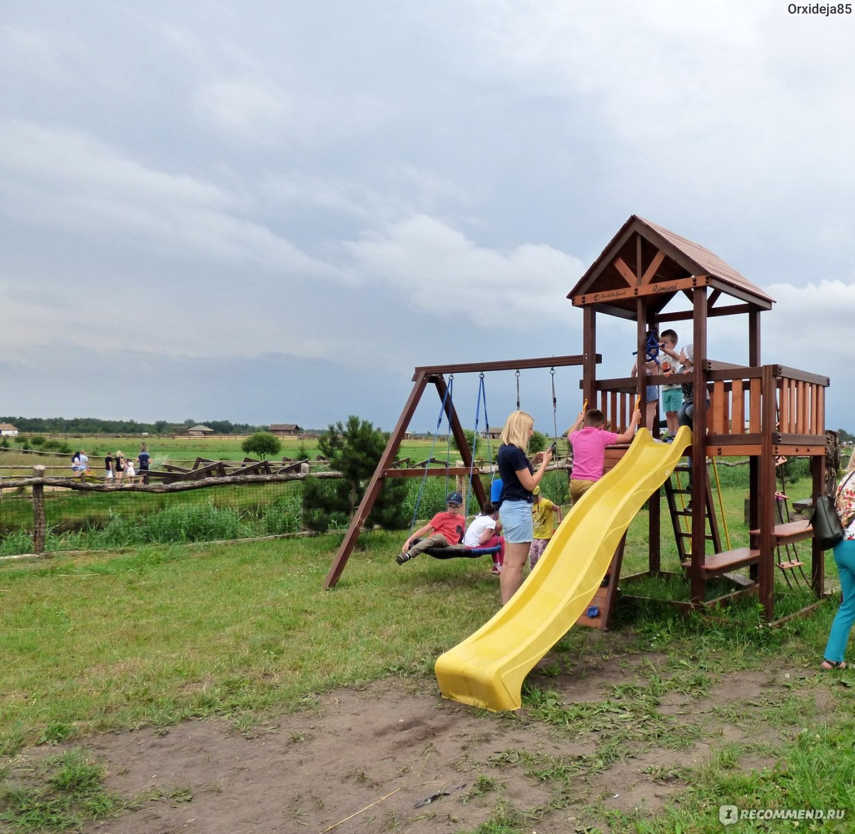 Фото диприз барановичи