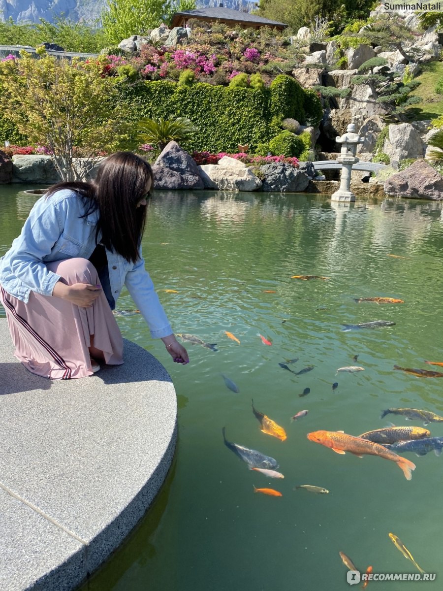 Японский сад “Шесть чувств”, Ялта фото