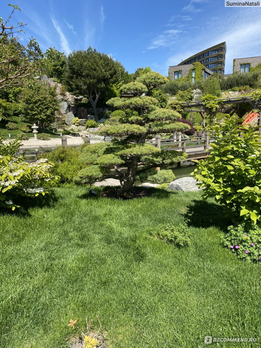 Японский сад “Шесть чувств”, Ялта фото