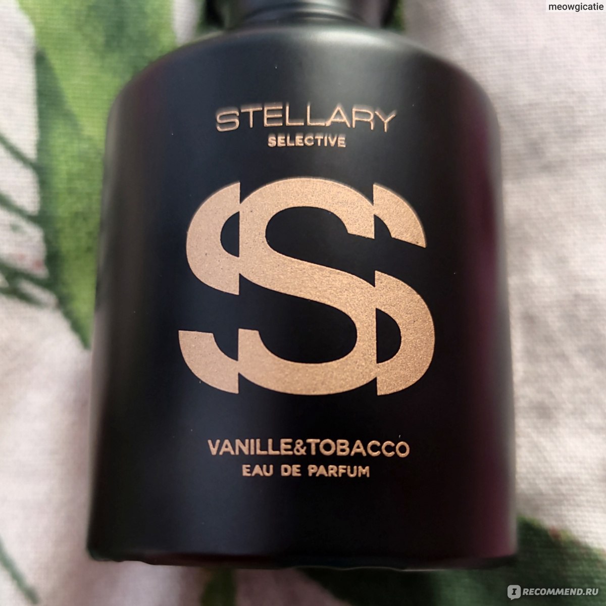 Духи от стеллари. Стеллари ваниль Тобакко. Stellary табак ваниль. Стеллари туалетная вода. Стеллари селективные духи.