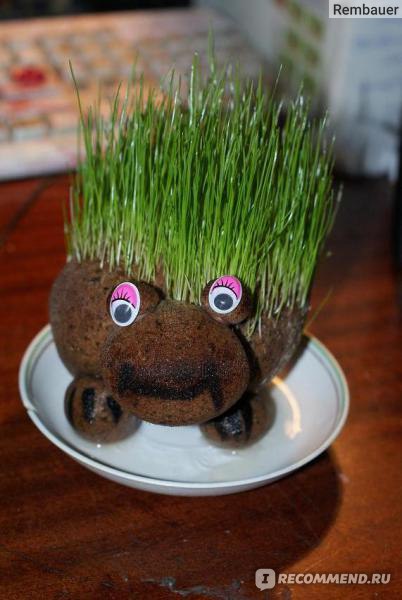 DIY. Травянчики: как сделать экологичные игрушки из травы