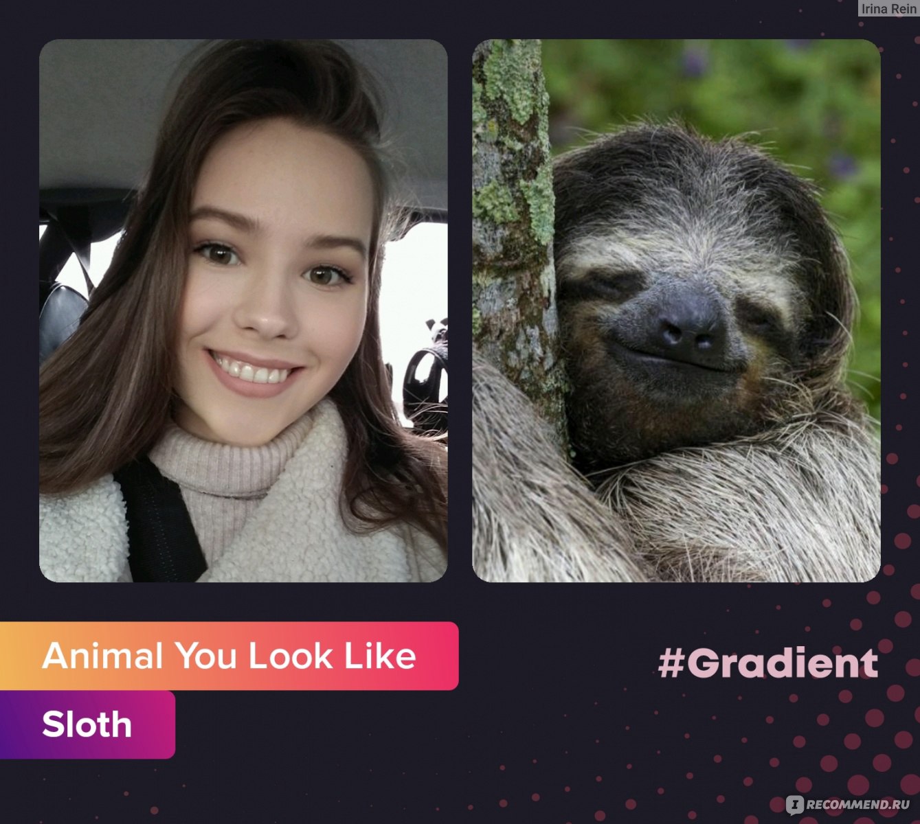 Gradient app какое животное