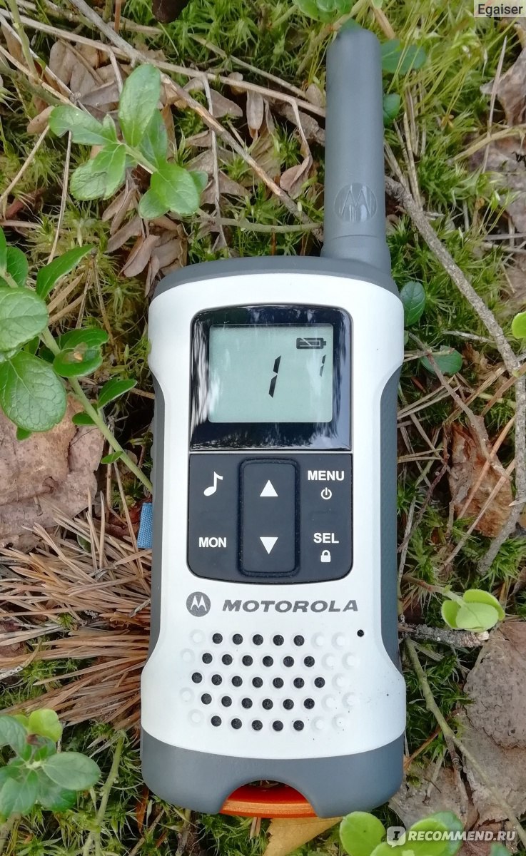 Рация Motorola TLKR-T50 - «- Дуб, Дуб, я Береза, прием! - Hello Moto! А для  чего еще нужны рации? Давайте посмотрим.» | отзывы