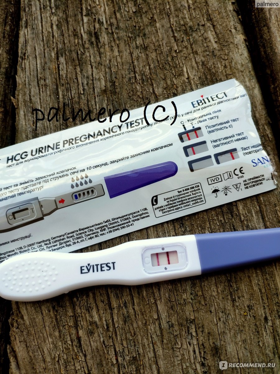 Тест на беременность Эви