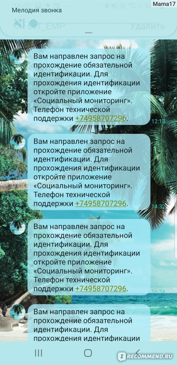 Компьютерная программа Социальный мониторинг фото