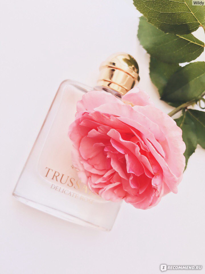 Trussardi delicate rose фото