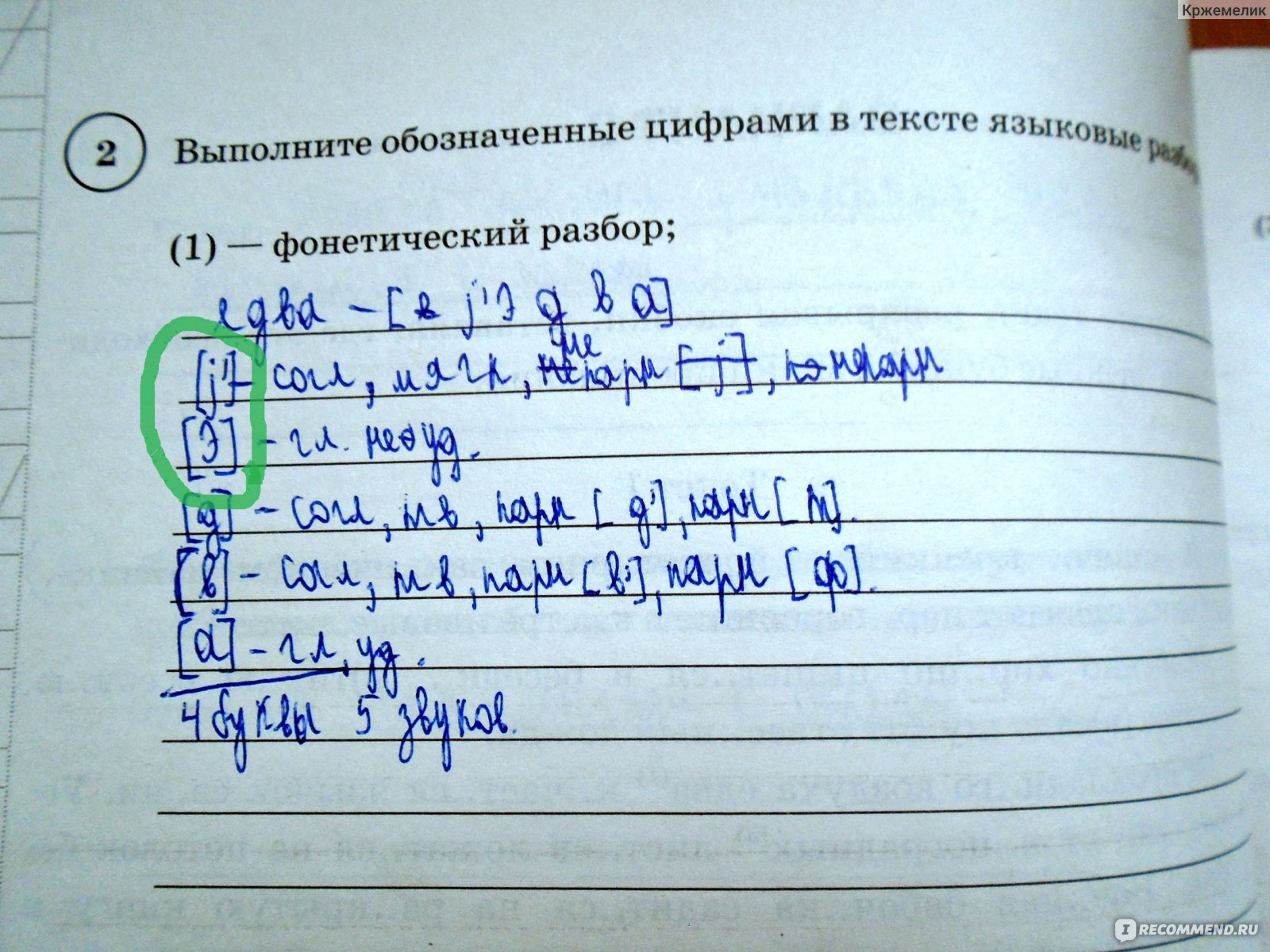 Впр 5 класс русский язык морфологический анализ. Разобрать морфологический разбор на коре из ВПР 5 класс.
