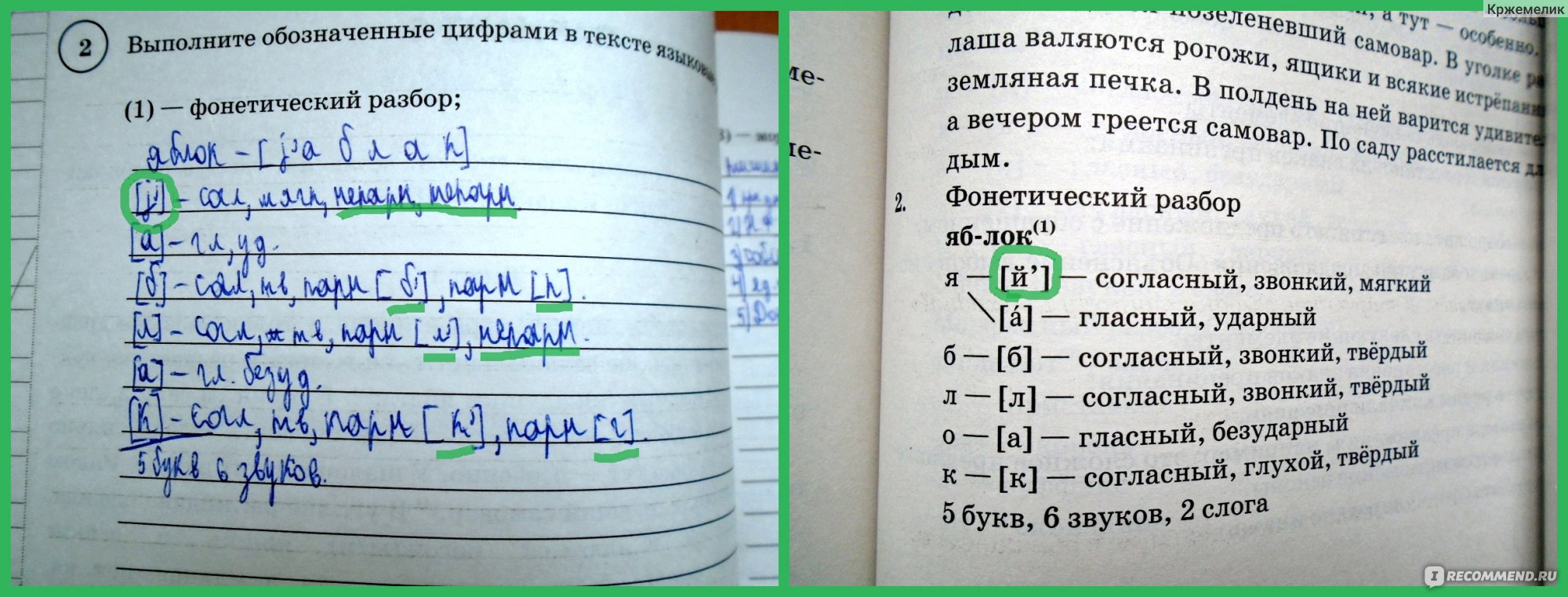 Фонетический анализ ночной впр. Фонетический разбор слова вниз 5 класс ВПР по русскому.