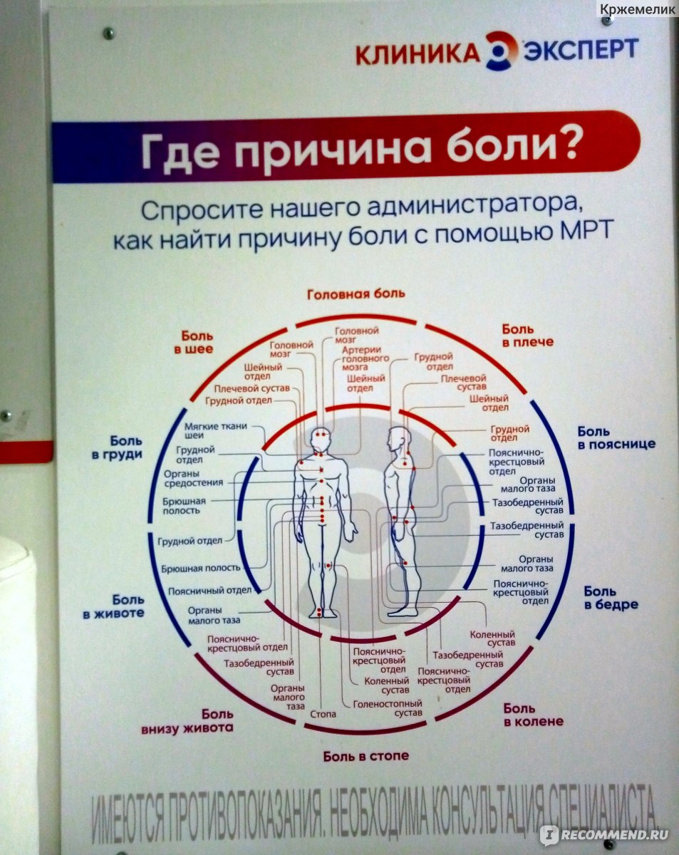 Клиника Эксперт, Белгород - «