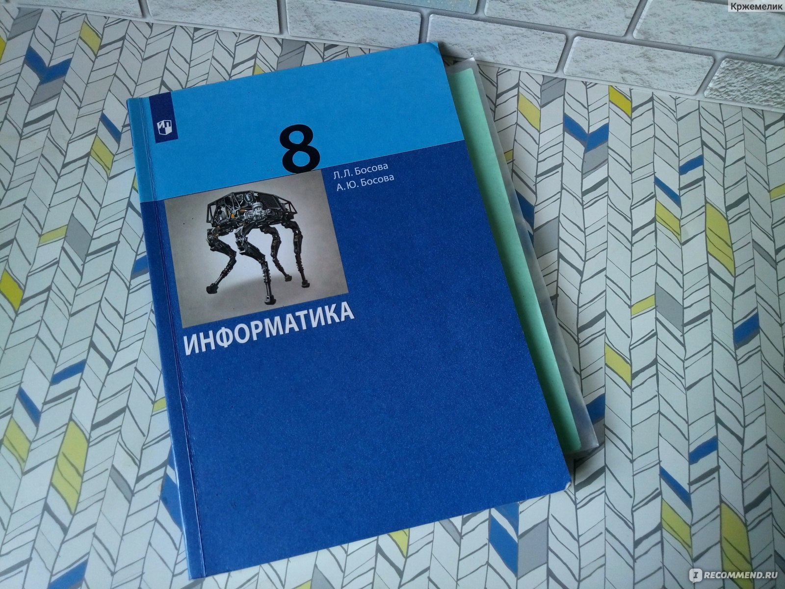 Информатика 8 класс. Л. Л. Босова, А. Ю. Босова - «Этот учебник начисто  убивает интерес к информатике» | отзывы