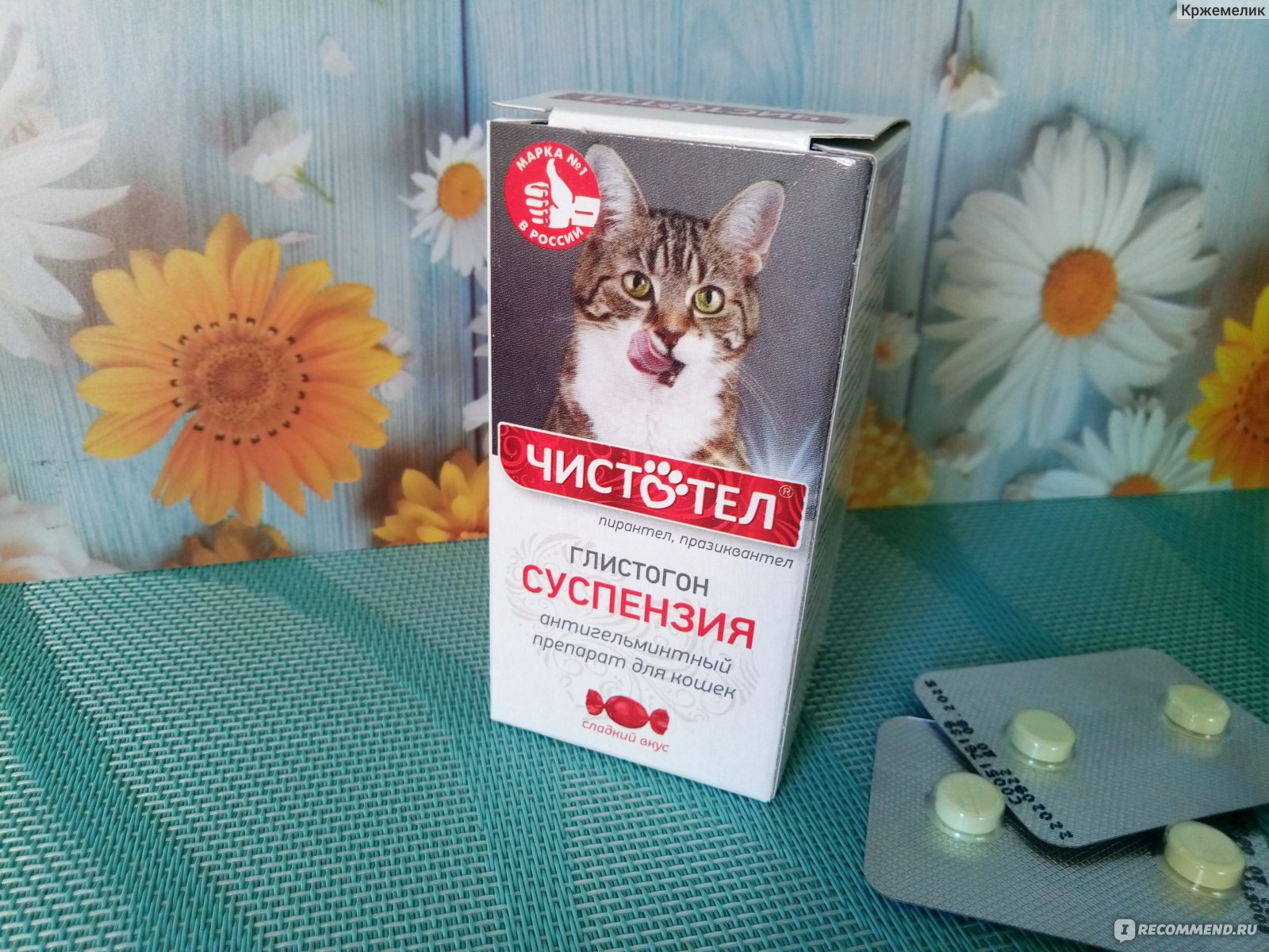Антигельминтики Чистотел Гельминтал суспензия для кошек - «Не пошел у нас  этот препарат» | отзывы