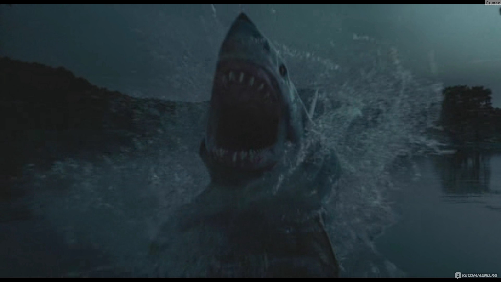 Челюсти 3d. Акула в Венеции фильм 2008. Ночь акул 2011. Ночью акула.