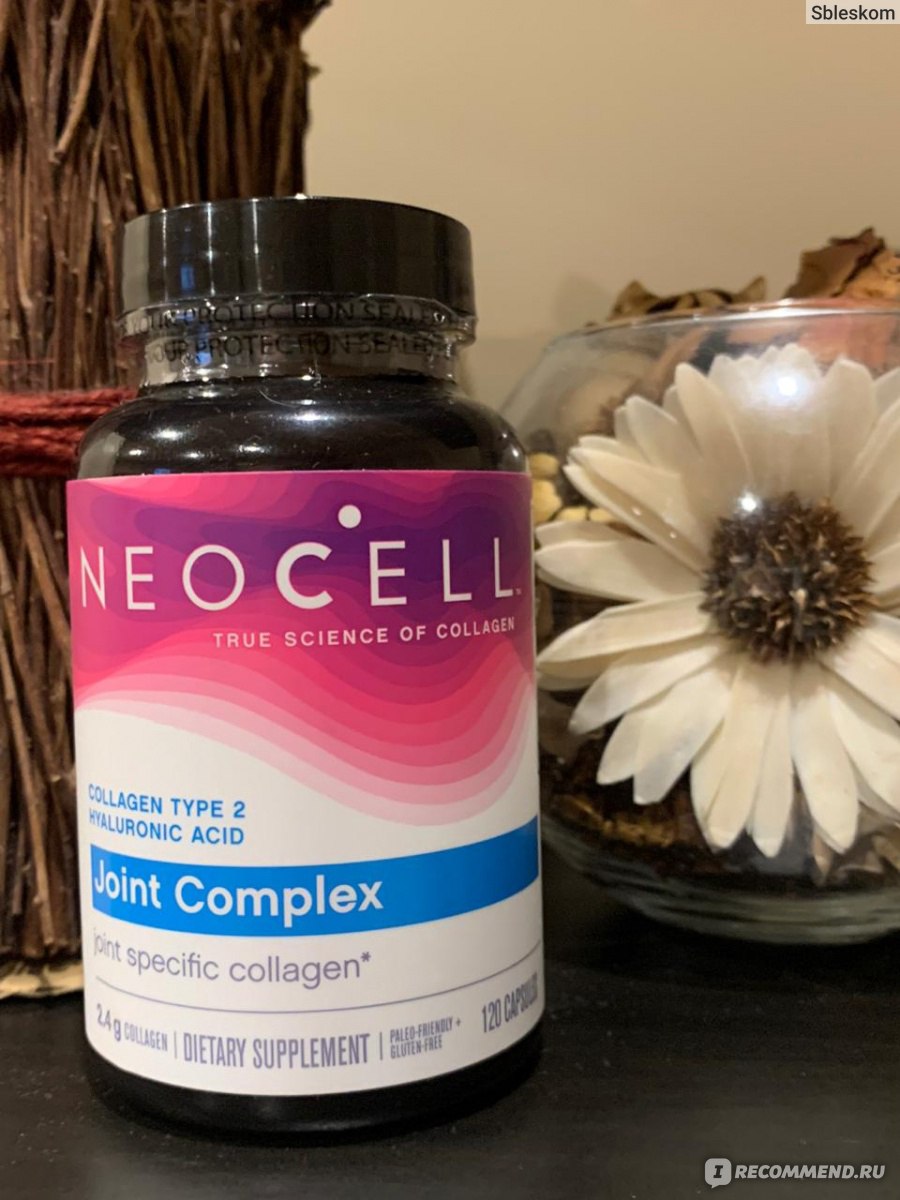 2 эластин. Коллаген Neocell 2 типа. Коллаген 2 типа порошок. Collagen для суставов. БАД С коллагеном для суставов.