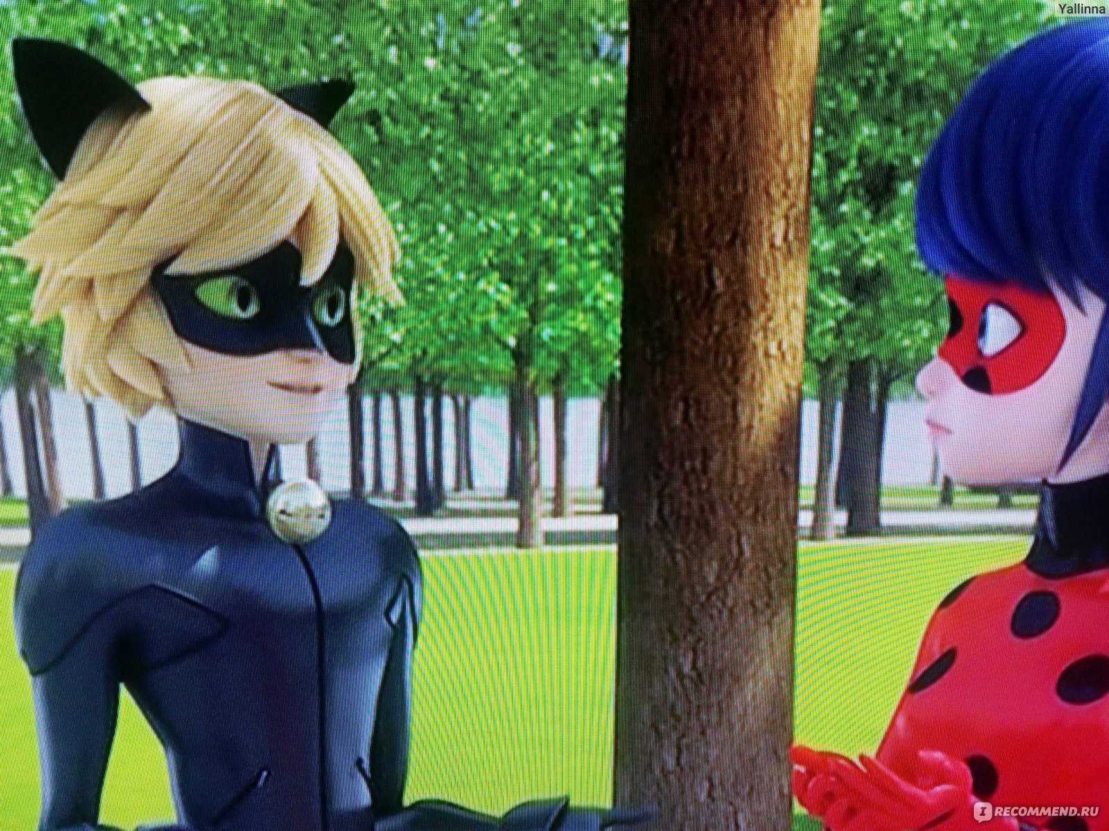 Леди Баг и Супер-кот / Леди Баг и кот Нуар / Miraculous: Tales of Ladybug &  Cat Noir - «Чудесная леди баг и суперкот - знаете кто это?? Если нет, то  советую