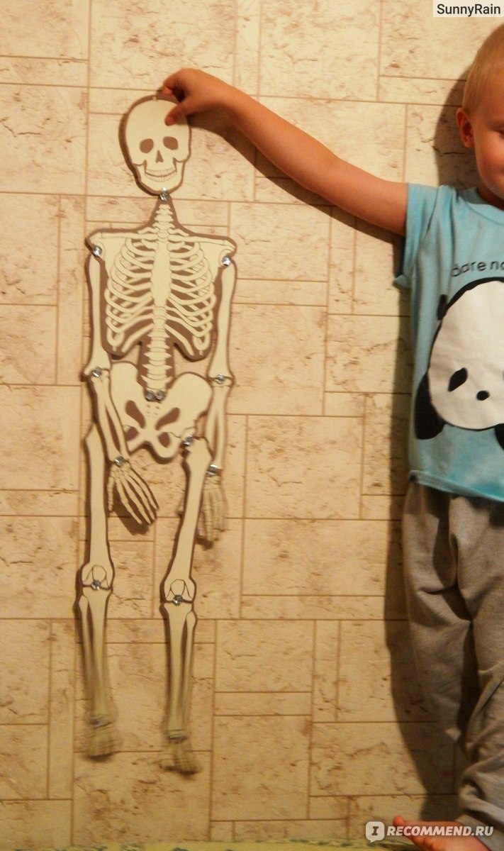 Шарнирный скелет из бумаги - забавная поделка на Хэллоуин