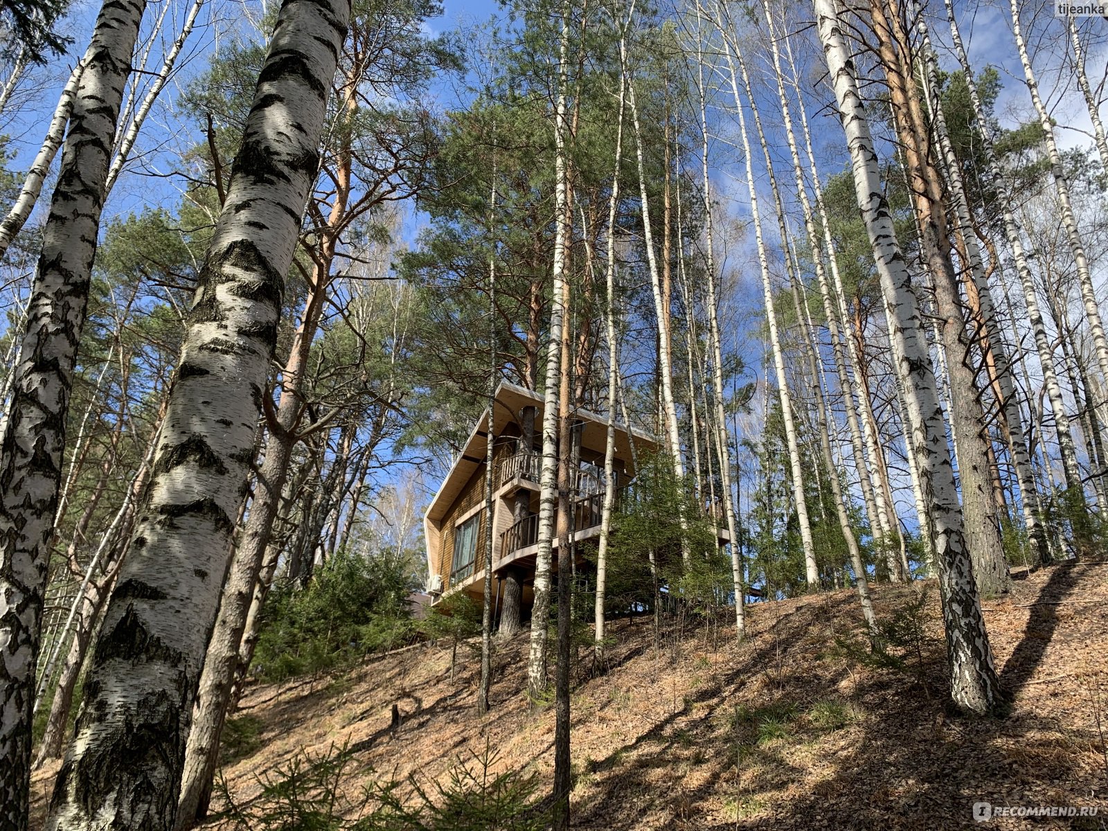 Эко-комплекс «Кантри Хоум» 3*, Россия, Ивановская область - «🏠 Сказка или  реальность? Исполнить мечту детства в Ивановской области – пожить в домике  на дереве! Время воплощать желания 🏠» | отзывы