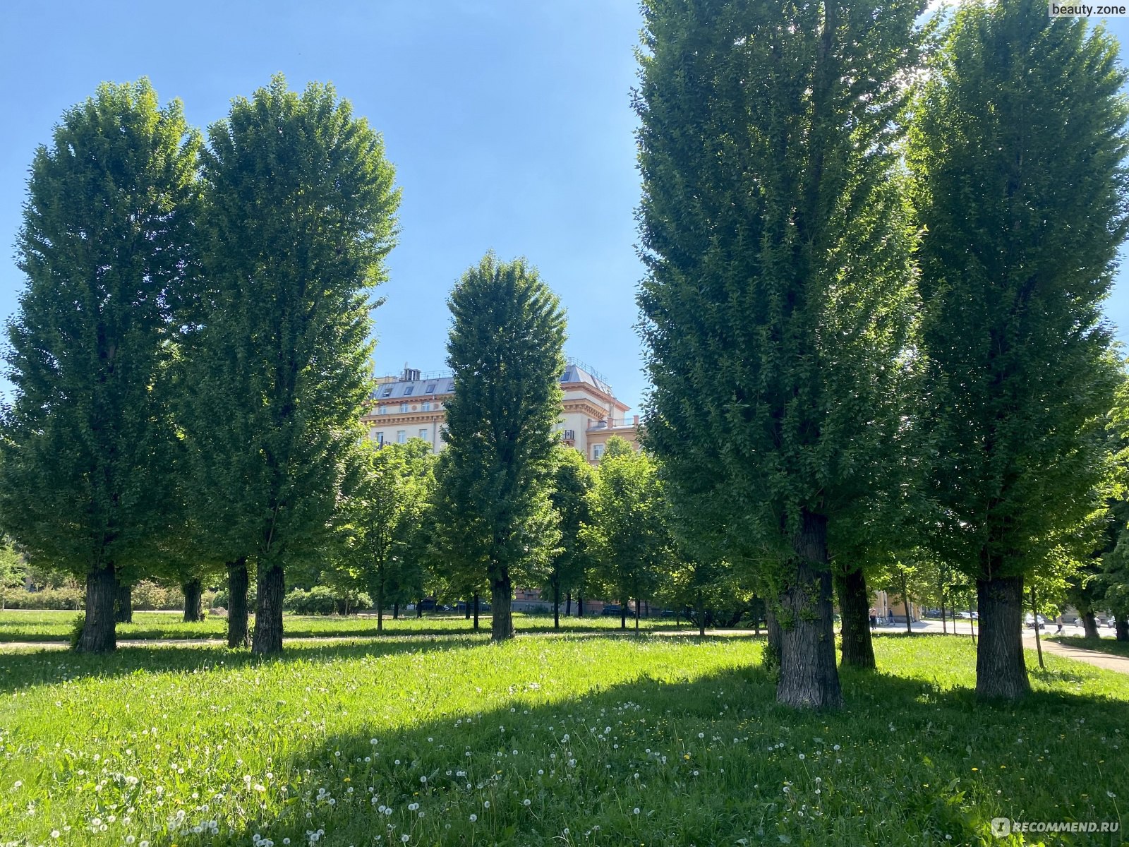 некрасовский сад в санкт петербурге