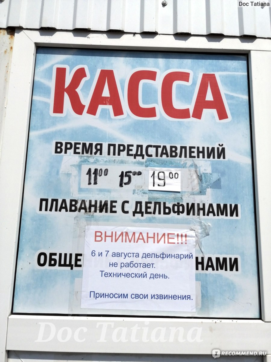 Дельфинарий ЛОО №1, Лоо - «Просторный, свободный. Можно покормить морского  котика. » | отзывы