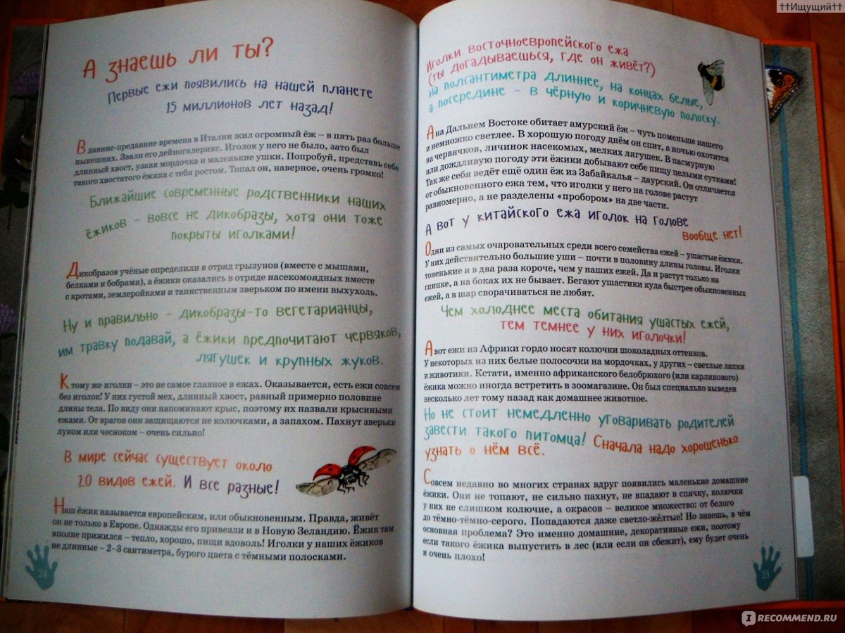 Я ёж. Майя Кучерская - «Сколько бы ежик не щетинился, а все равно добрый…  напьется и уйдет в туман.))» | отзывы