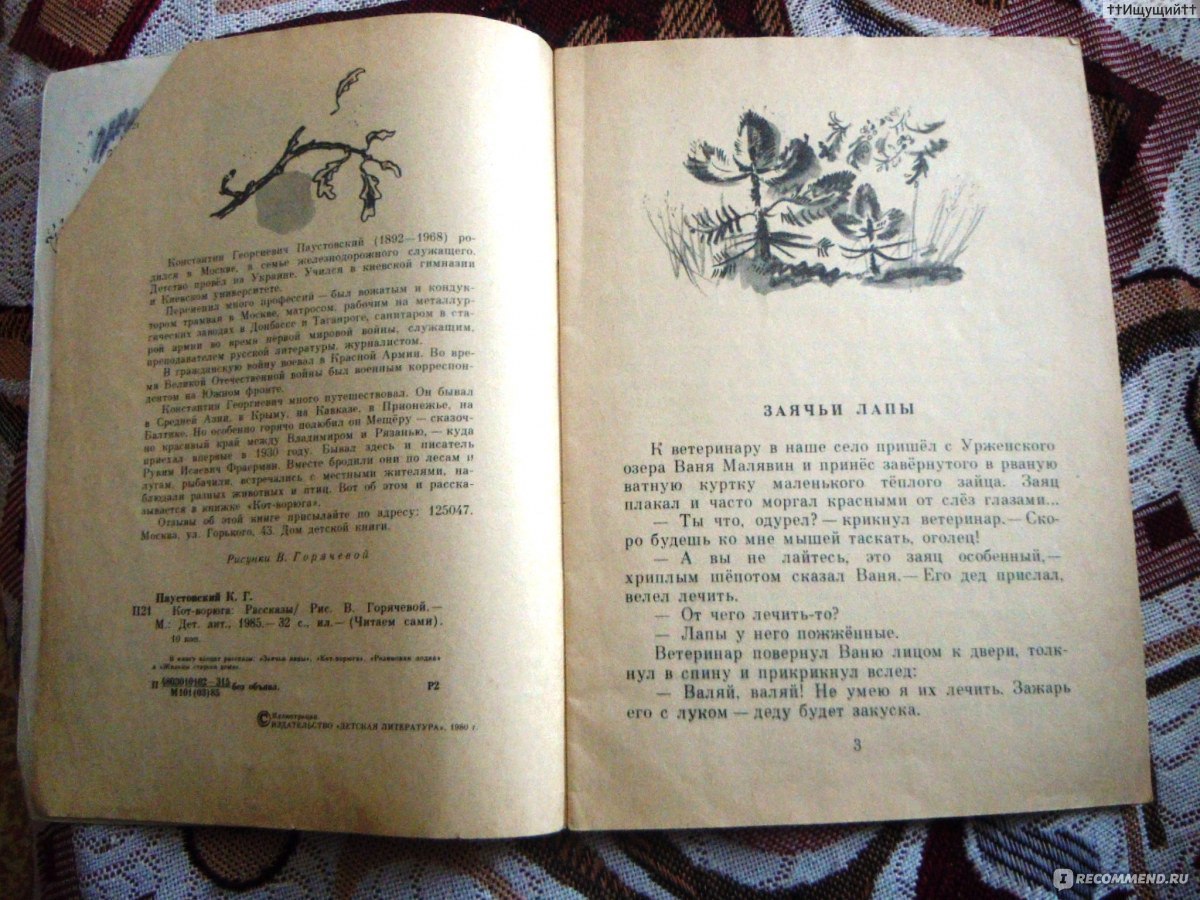 Кот-ворюга. Константин Паустовский - «Старые добрые сказания советских  детей. Никто не забыт, ничто не забыто. » | отзывы