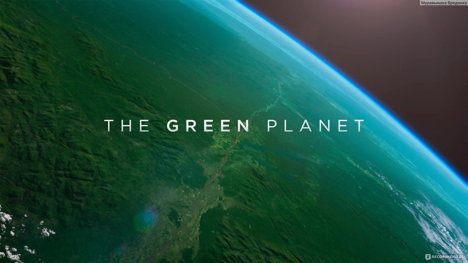 green planet арктический