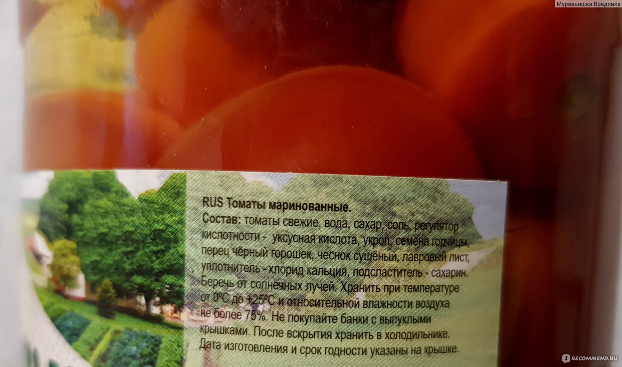 томат поль робсон описание отзывы фото