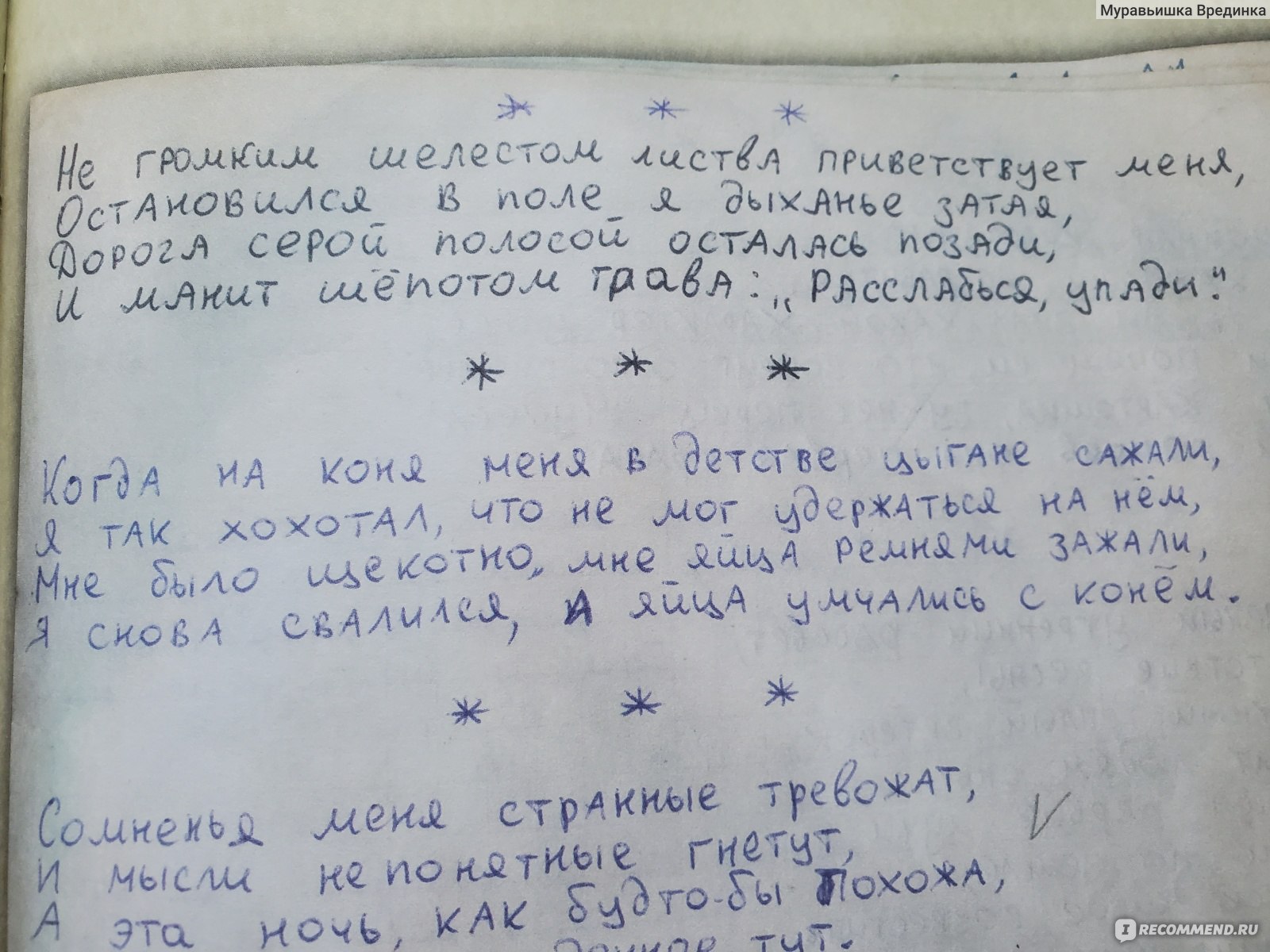 Король и шут. Старая книга. Андрей Князев - «Книга эта, как дневник.  Зарисовки, тексты- шик. Муравьишка прочитала и о группе всё узнала 😎» |  отзывы