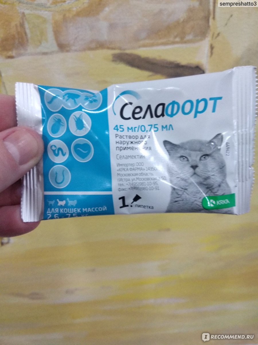 Силофорт для кошек. Селафорт. Селафорт для котят. Капли от блох селафорт для кошек. Селафорт для кошек на холку.