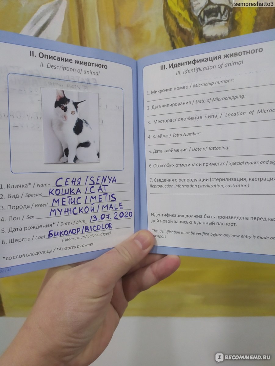 Ветеринарный паспорт для собак и кошек АВЗ международный