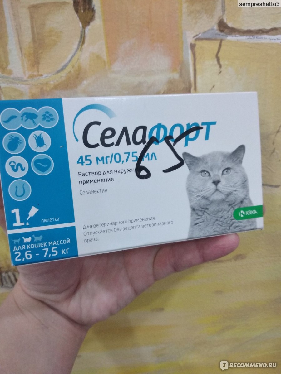 Селафорт для кошек. Селафорт. Селафорт для котят. Капли селафорт для кошек. Стронгхолд селафорт.