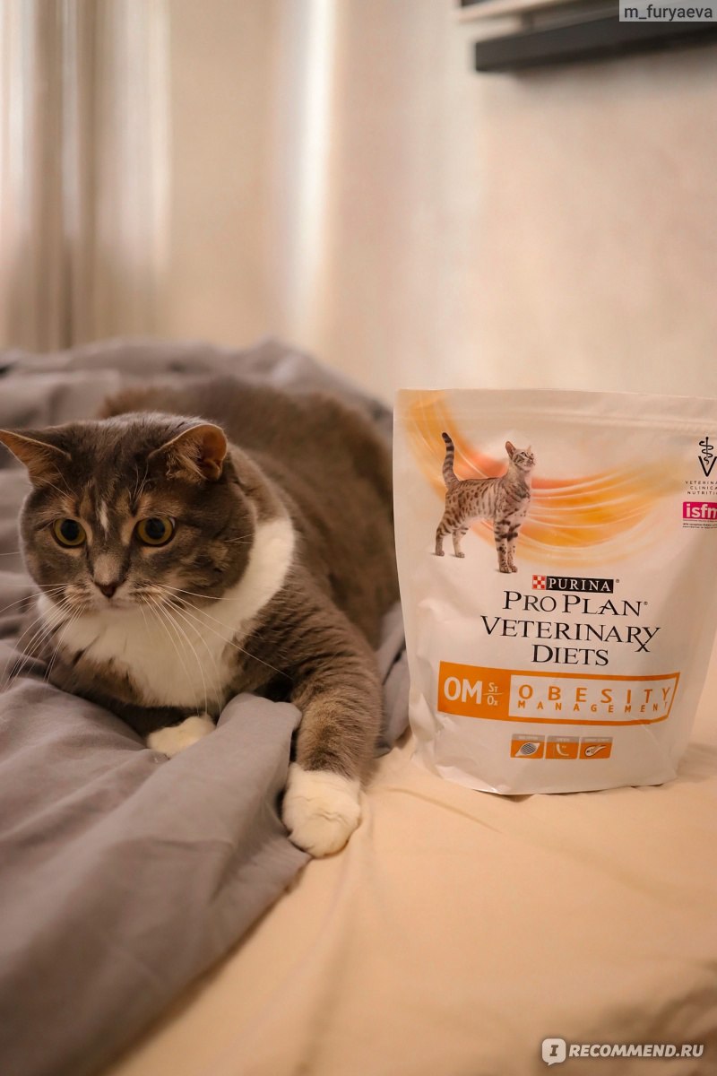 Корм для кошек Pro Plan Purina Veterinary Diets OM Obesity Management -  «Эффективный корм для поддержания или снижения веса» | отзывы