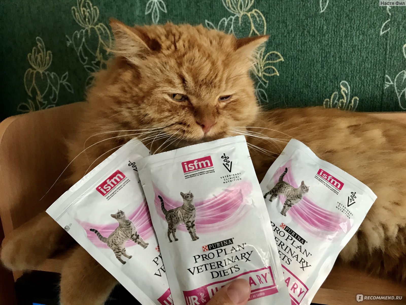 Корм для кошек Purina Pro Plan Veterinary Diets UR кусочки в соусе с лососем фото