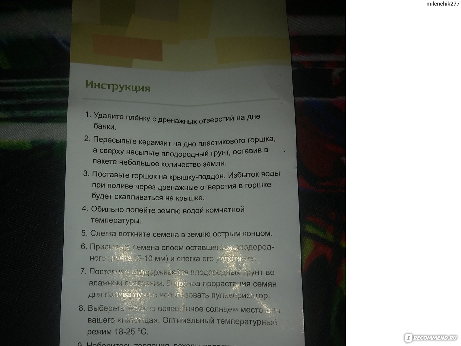 Вырасти, дерево! Подсолнечник декоративный - «Мини подсолнух дома! » |  отзывы