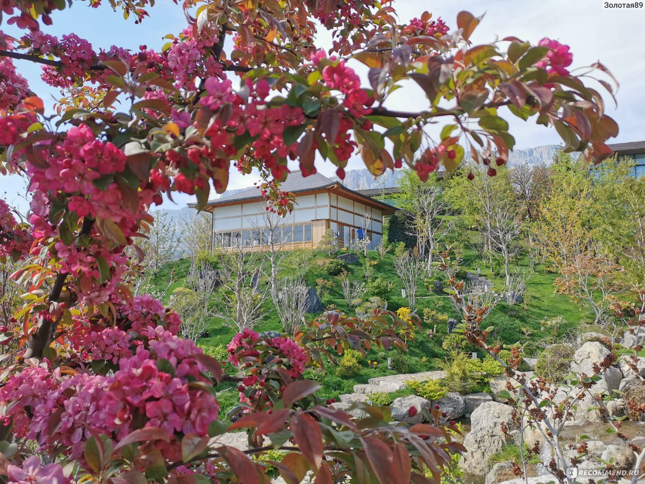Японский сад в Крыму весной отзывы туристов 