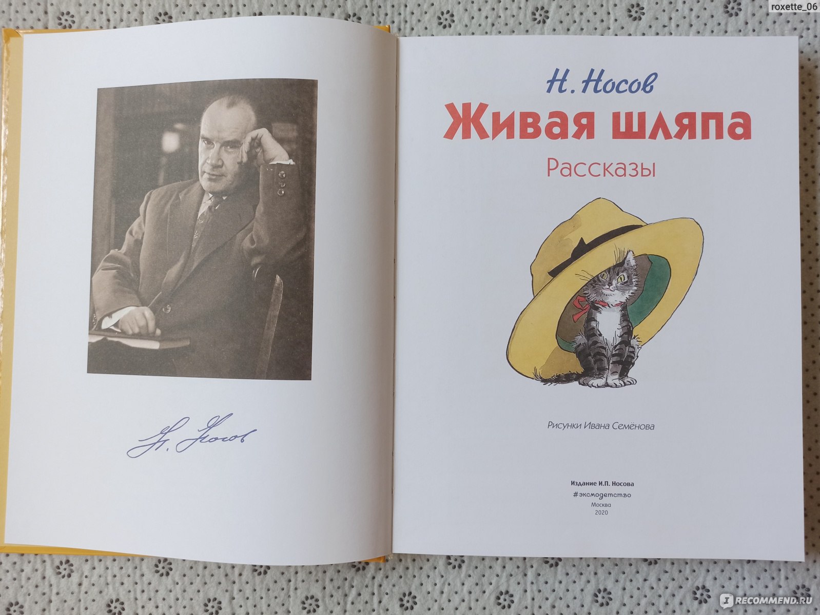 Николай Николаевич Носов Живая шляпа книга
