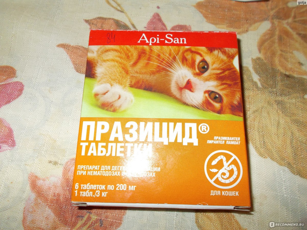 Таблетки празицид для кошек