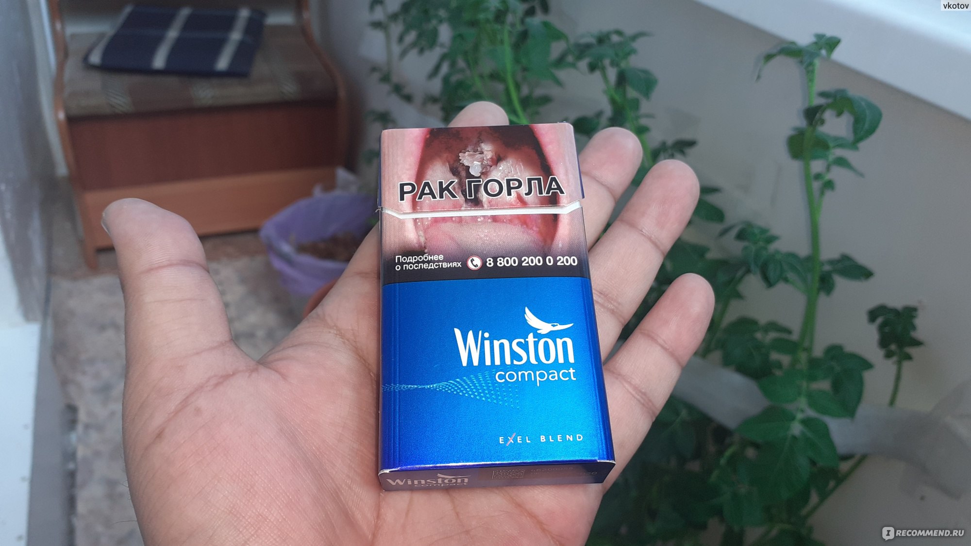 Винстон с ментолом компакт. Winston XS Compact Plus Blue 100. Сигареты Winston Compact Plus. Сигареты Винстон компакт плюс Блю. Сигареты Винстон Блю Winston Blue.
