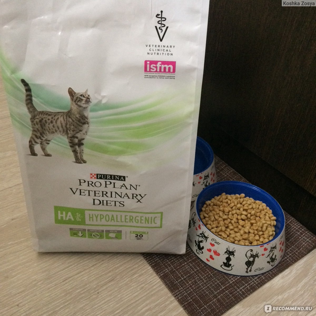 Корм для кошек Pro Plan Veterinary Diets Hypoallergenic - «Гипоаллергенный  корм, который кошки готовы есть круглые сутки.» | отзывы