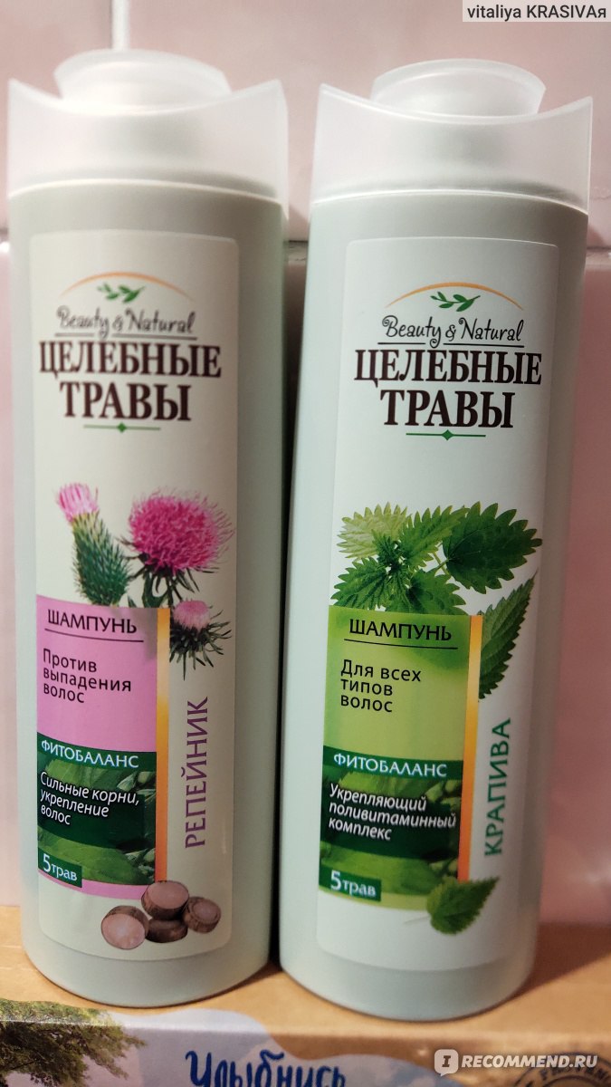 Шампунь Beauty Natural Целебные Травы Репейник против выпадения волос -  «Снова купила дешевенький шампунь, недорого и весьма неплохой» | отзывы