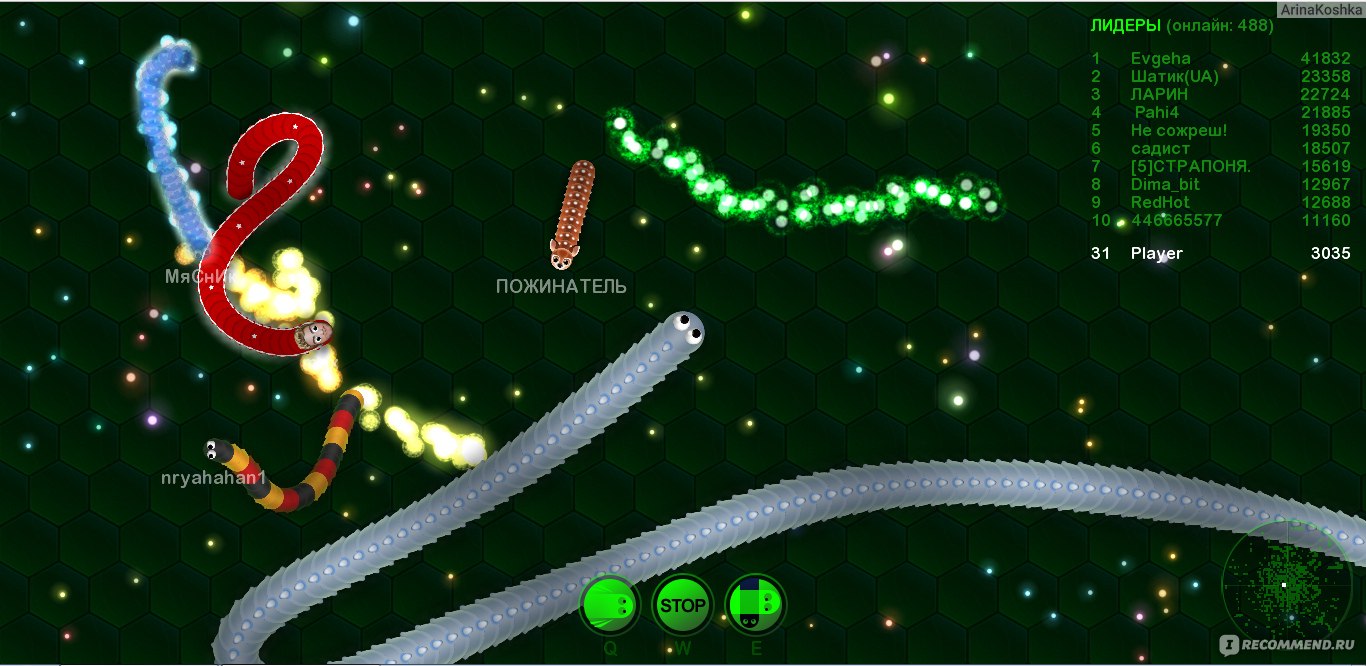 Wormax.io - «Так ли хороша браузерная игра Wormax.io? На мой взгляд,  Slither.io была гораздо лучше...» | отзывы