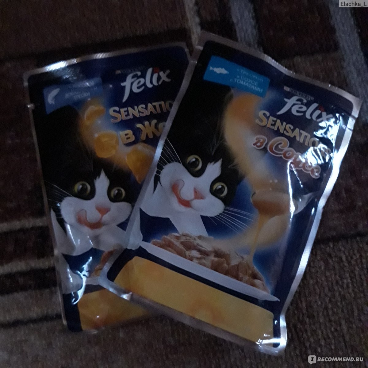 Корм для кошек FELIX Sensations в Желе с лососем - «Кот рекомендует ...