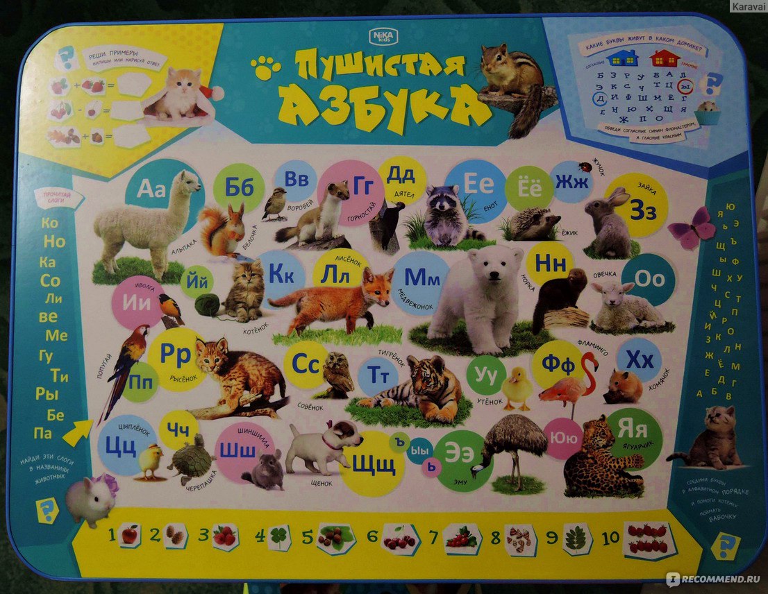 Комплект мебели nika kids пушистая азбука nkp1 4