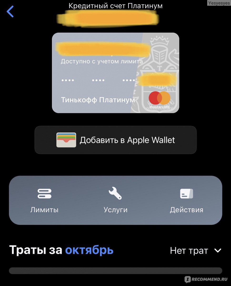 Кредитная карта Tinkoff Яндекс плюс фото